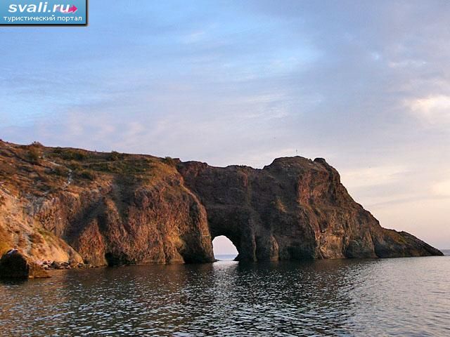 ��� �������, �����������, ������.