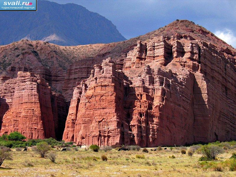   "" (Los Castillos),     (Cafayate),   (Salta), .