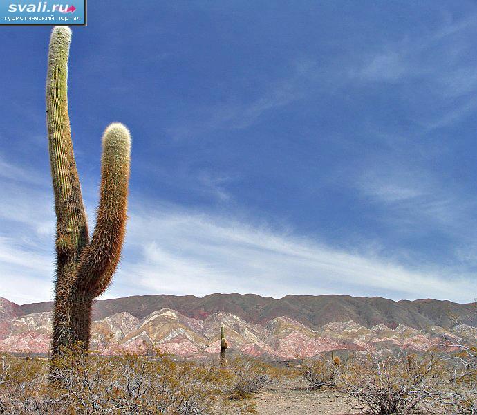  ,    (Parque Nacional Los Cardones),   (Salta), .