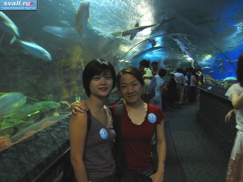 Аквариум "Подводный мир", остров Сентоза, Сингапур. 