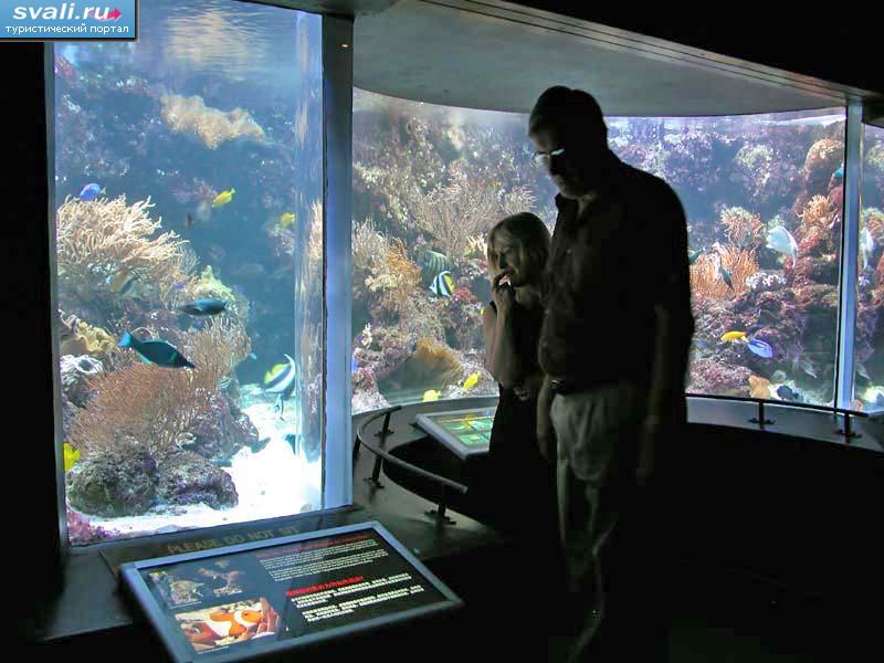 Аквариум "Подводный мир", остров Сентоза, Сингапур.