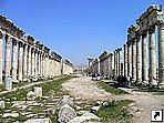 Руины античного города Апамеи (Apamea), 55 км от Хамы, Сирия. 