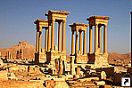 Пальмира (Palmyra, Тадмор), Сирия.