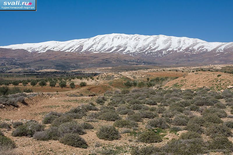 Самая высокая точка Сирии - гора Хермон (Hermon).