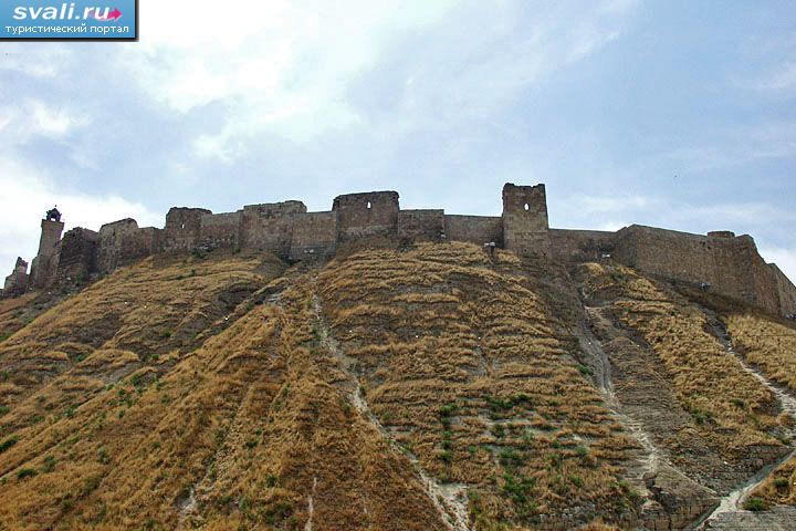Цитадель, Алеппо (Aleppo, Halab, Халеб), Сирия. | Сирия | фотографии ...