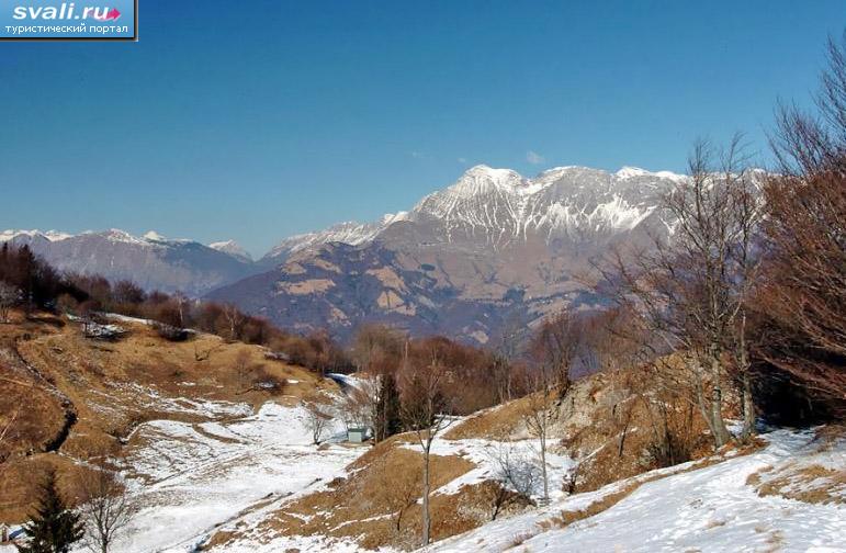 ��������.