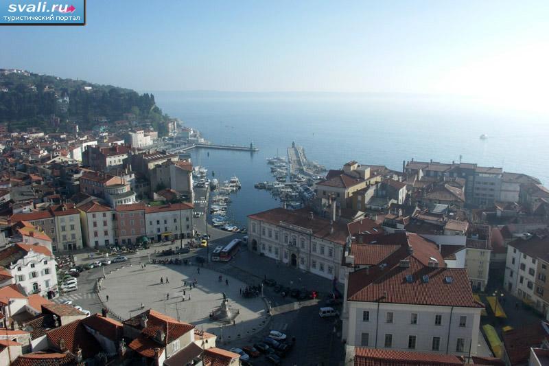 �����, ��������.