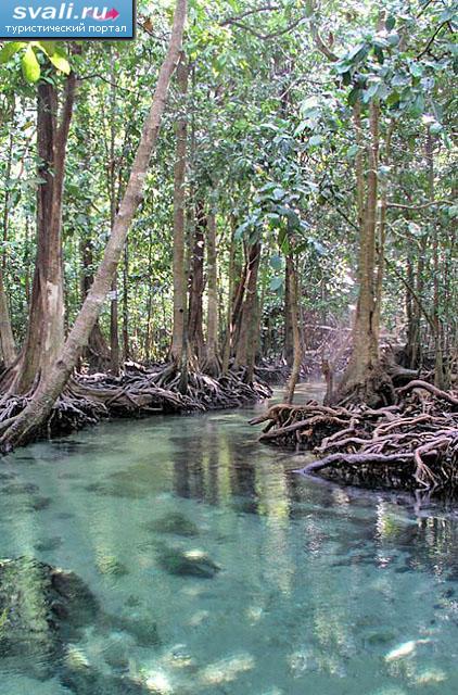 ��������� �����, �������.