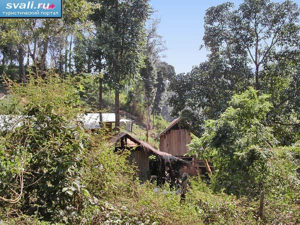 ������� � ������������ �������� (Chiangmai), �������� �������.