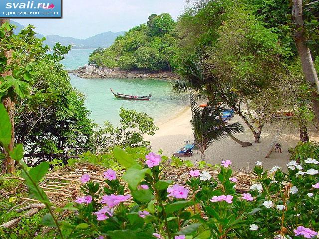   (Phuket),  .