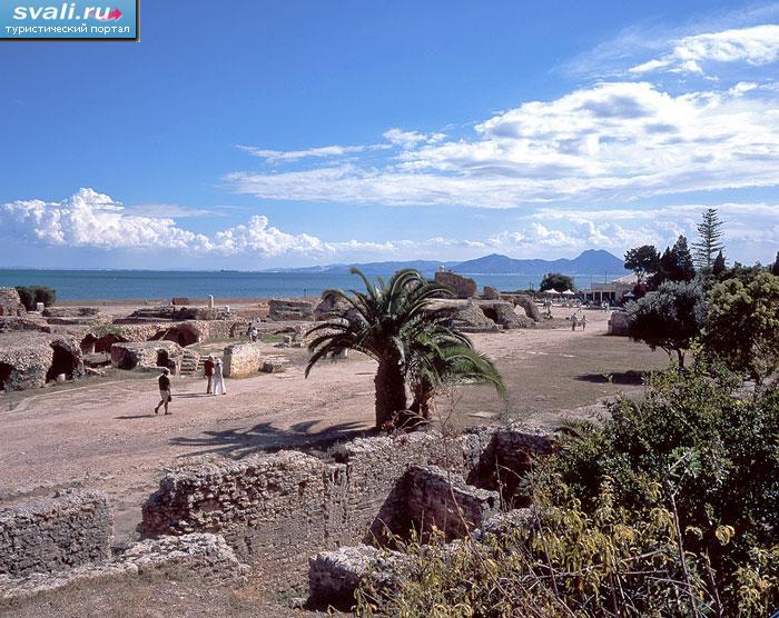 ����� ���������, �����.