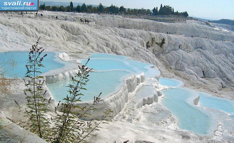    (Pamukkale),  , .