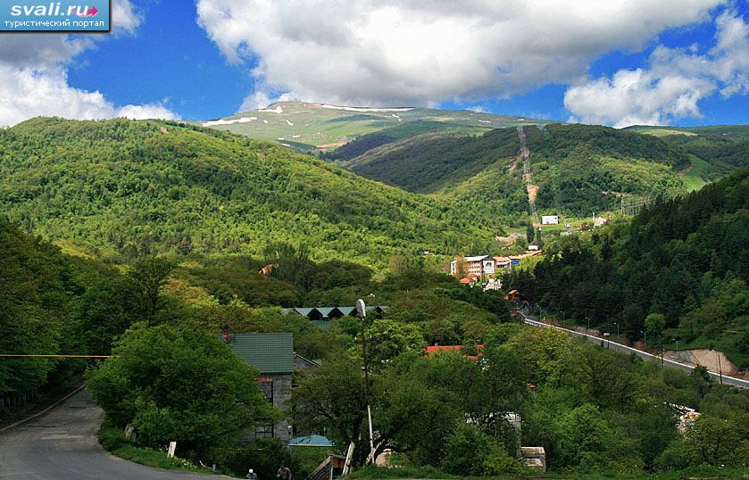 ���������, �������.