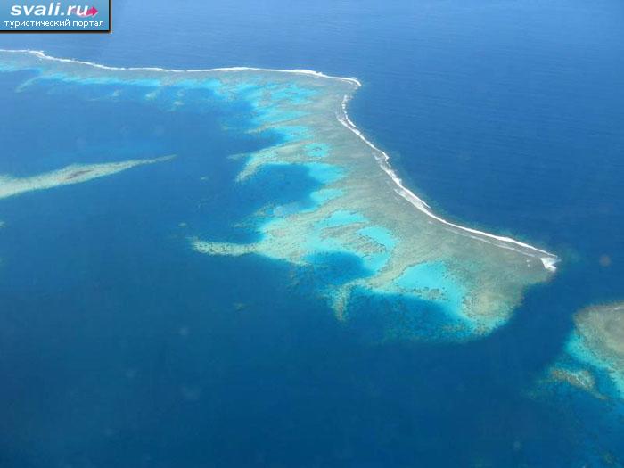 Коралловый риф около острова Намена (Namena), Фиджи.
