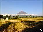   (Mayon),   (Luzon), .