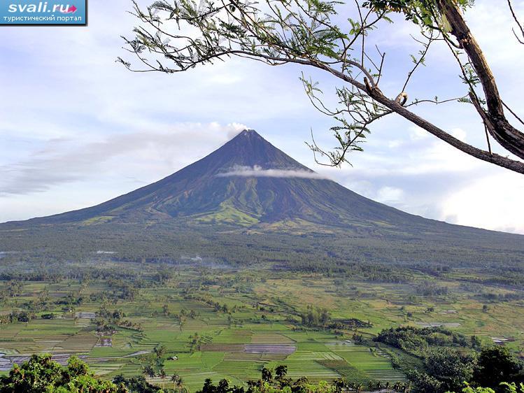 ������ ����� (Mayon), ������ ����� (Luzon), ���������.