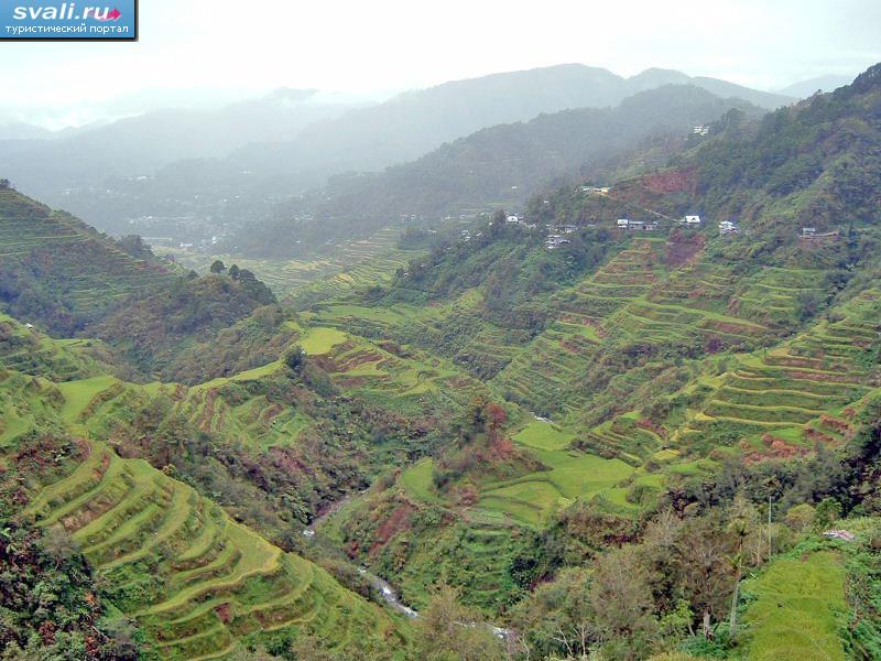  ,  (Banaue),   (Luzon), .