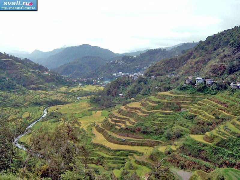  ,  (Banaue),   (Luzon), .