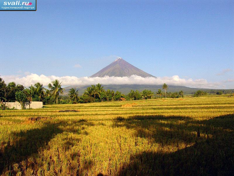 ������ ����� (Mayon), ������ ����� (Luzon), ���������.