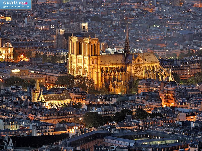   , (   , Notre-Dame de Paris) , , .