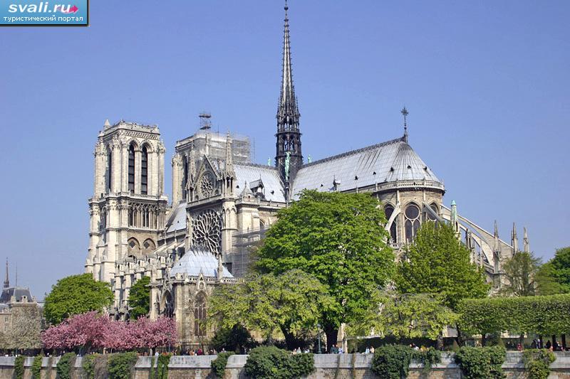   , (   , Notre-Dame de Paris), , .