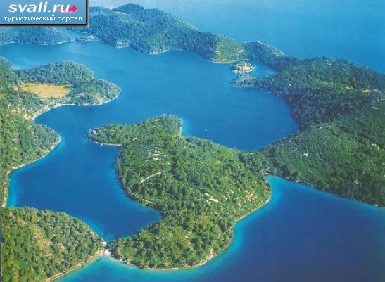 ������������ ���� "����", ��������.