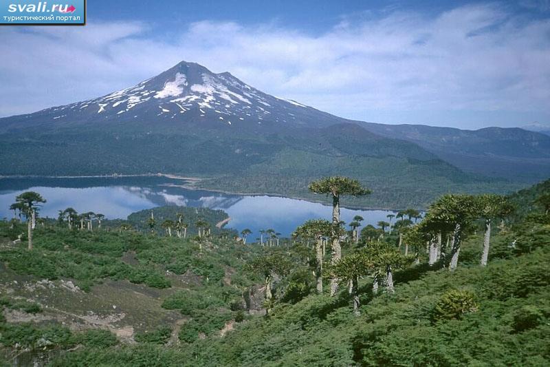  Conguillio,   (Los Lagos), .