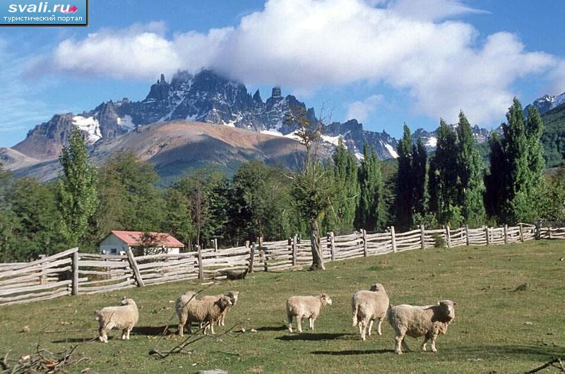 ���� Castillo, ����.