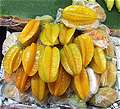 , Carambola (ma-fuang).