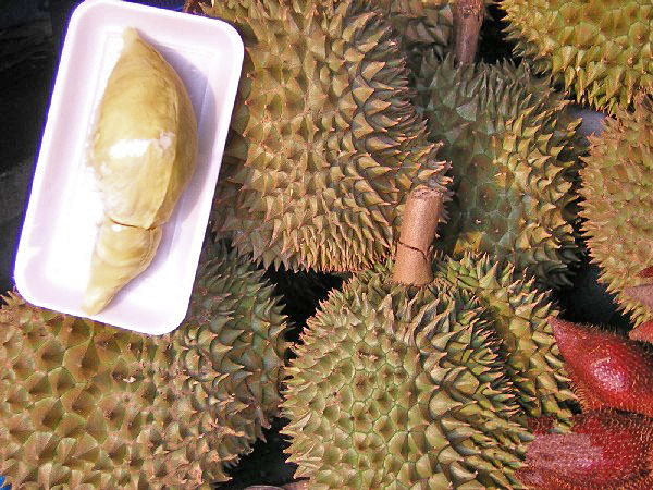 , Durian (Toorian)       .