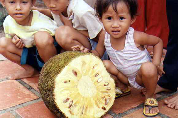 Jackfruit (Ka-noon).