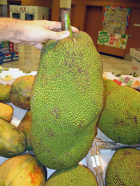Jackfruit (Ka-noon).