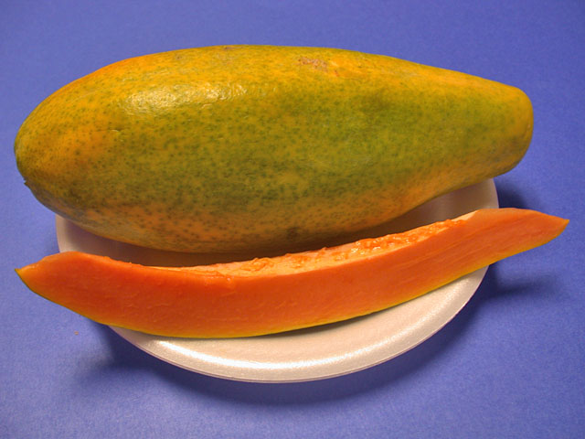 , Papaya (Malakor).