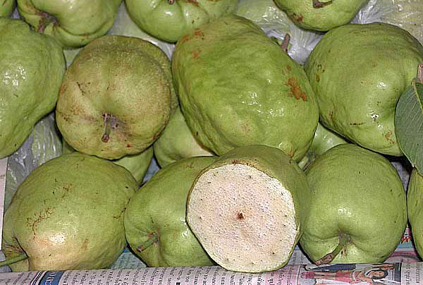 , Guava (fa-rang).