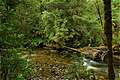 Franklin River, Franklin-Gordon Wild Rivers NP, 