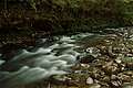 Franklin River, Franklin-Gordon Wild Rivers NP,  (1024x681 261Kb)