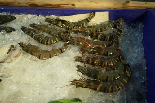 ���� ����