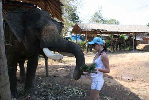 ���-���...