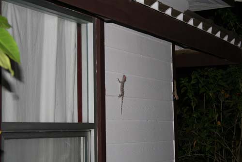 ��������� ������ ������