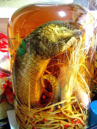 ����������, �������.