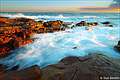   Boat Harbour, Tomaree National Park, NSW, 