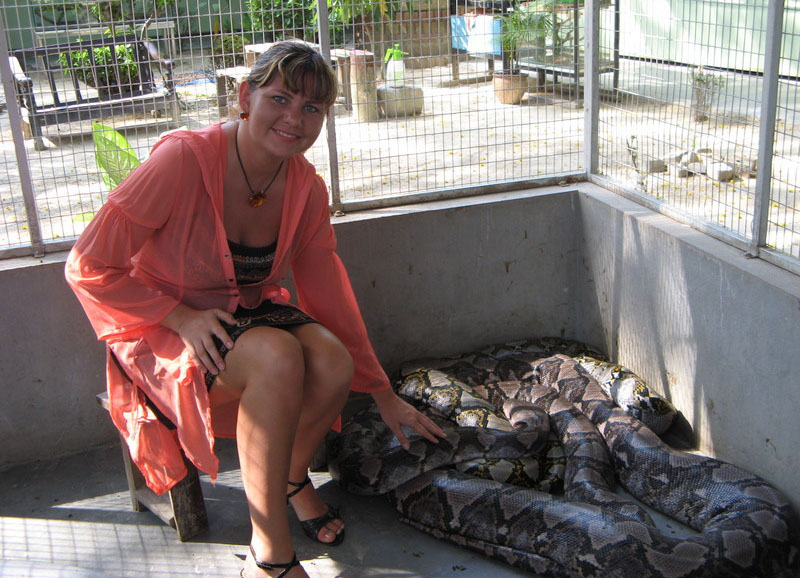 � ������ � ������, ��������.