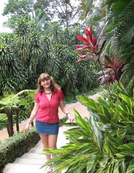 � ����� ������� � ����������, ��������.