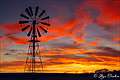 , Sturt National Park, 