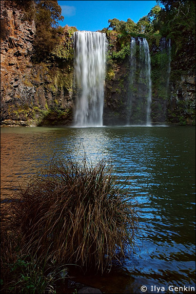 Водопад Dangar, недалеко от городка Dorrigo, NSW, Австралия