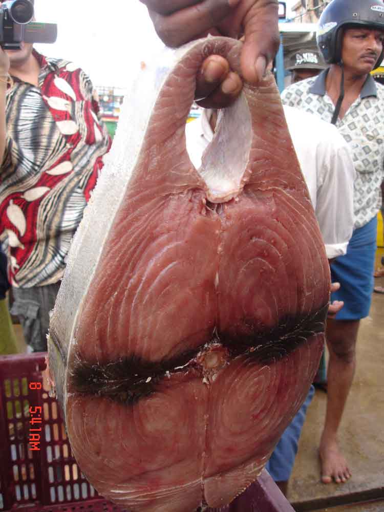 ���� �����. ��� � ���������...