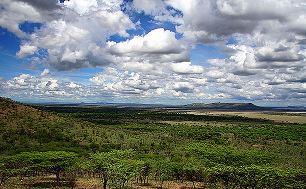 ��������.