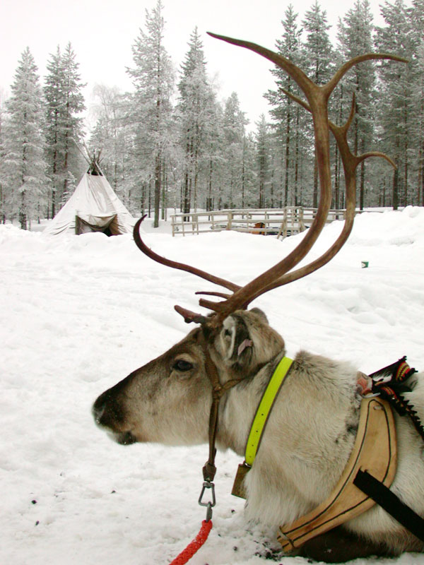 ���������. ���������.