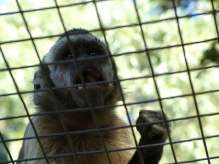 �� ����� ������ ������! ���.