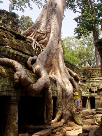 ����������.